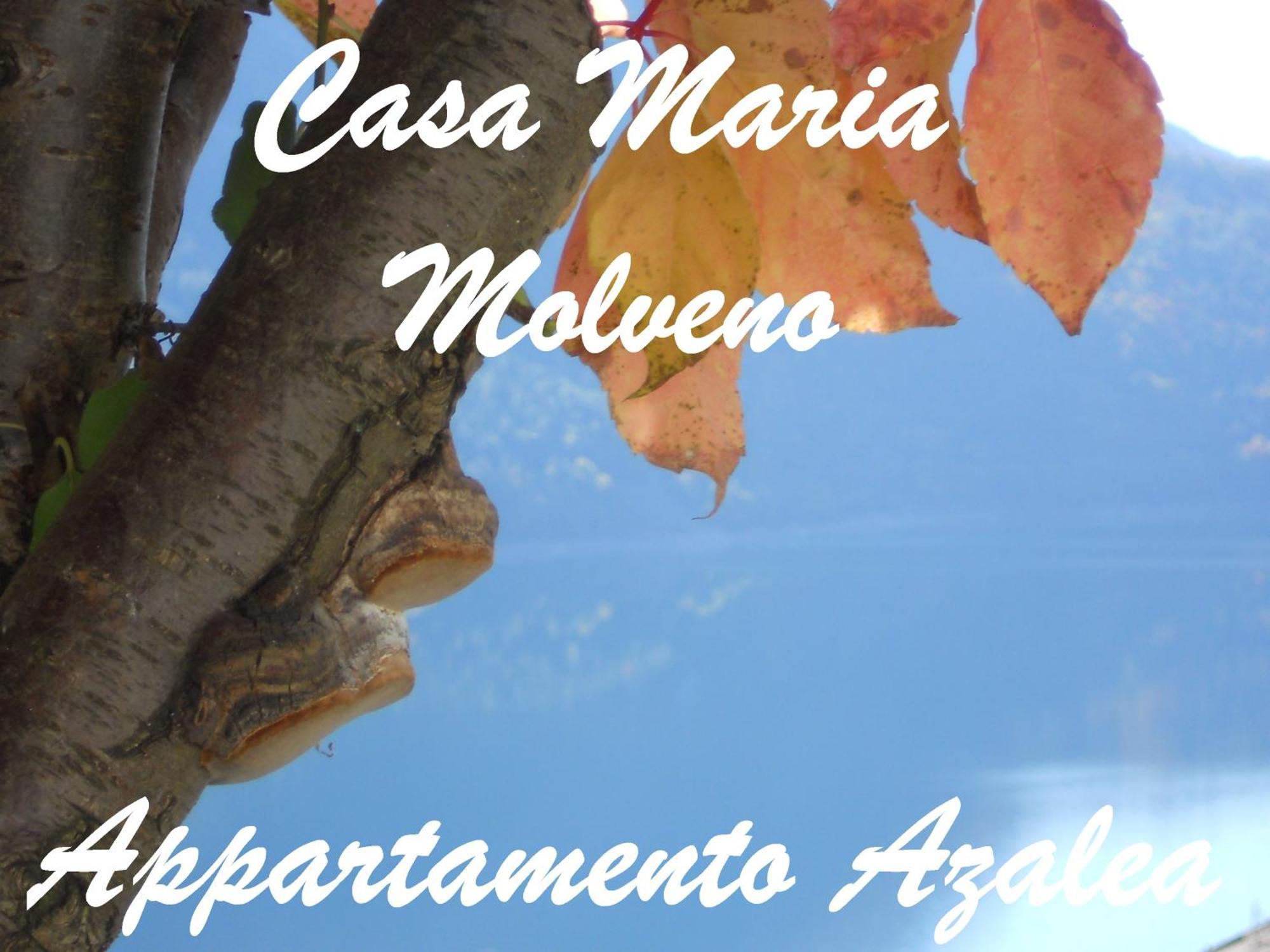 Apartamento Casa Maria Molveno Habitación foto